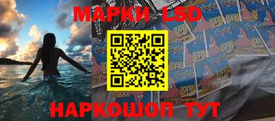 эйфоретик Гатчина