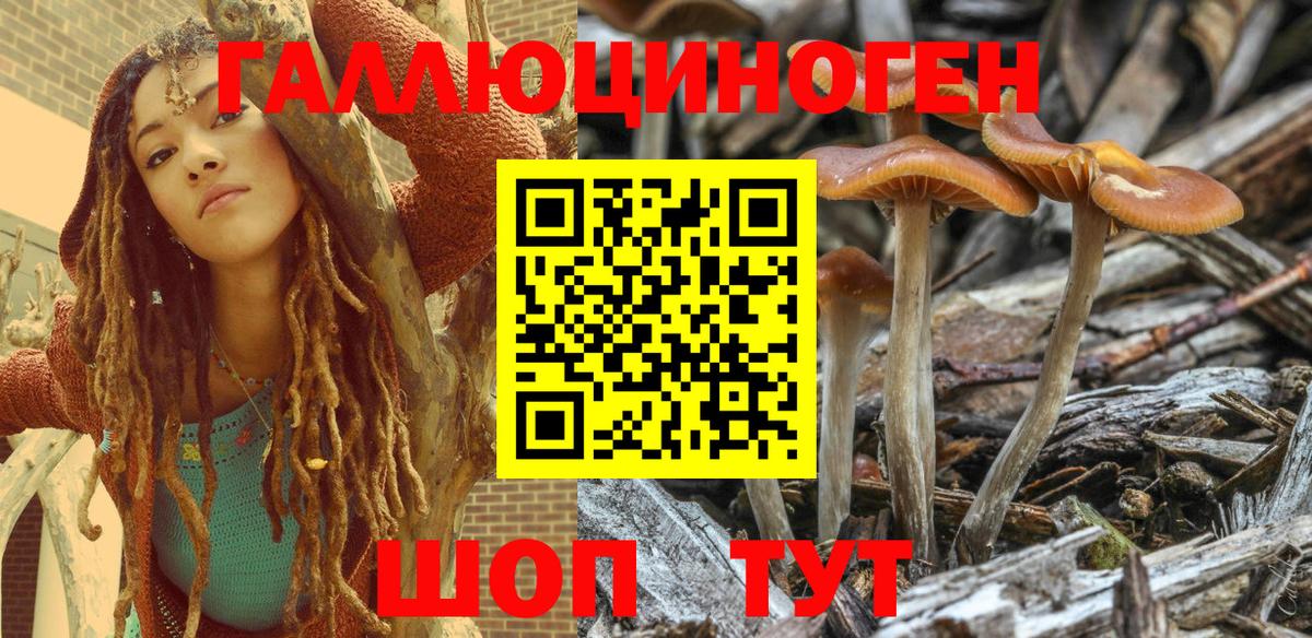 Мытищи  Галлюциногенные грибы Psilocybe  Псилоцибиновые грибы MAGIC MUSHROOMS  Вход с VPN 
