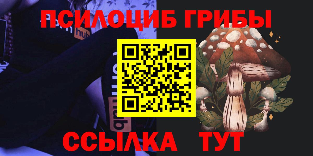 Псилоцибиновые грибы Psilocybe Мытищи